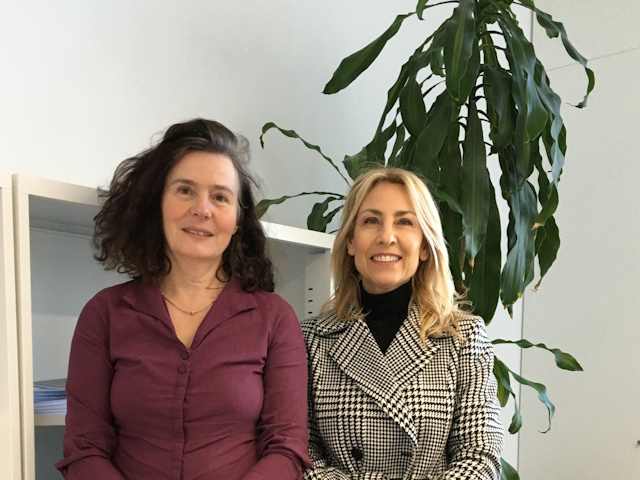 Stärkung der Erasmus-Partnerschaften in Portugal  